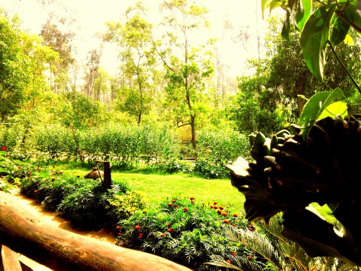 Roshnai Village Resort Bolpur Extérieur photo